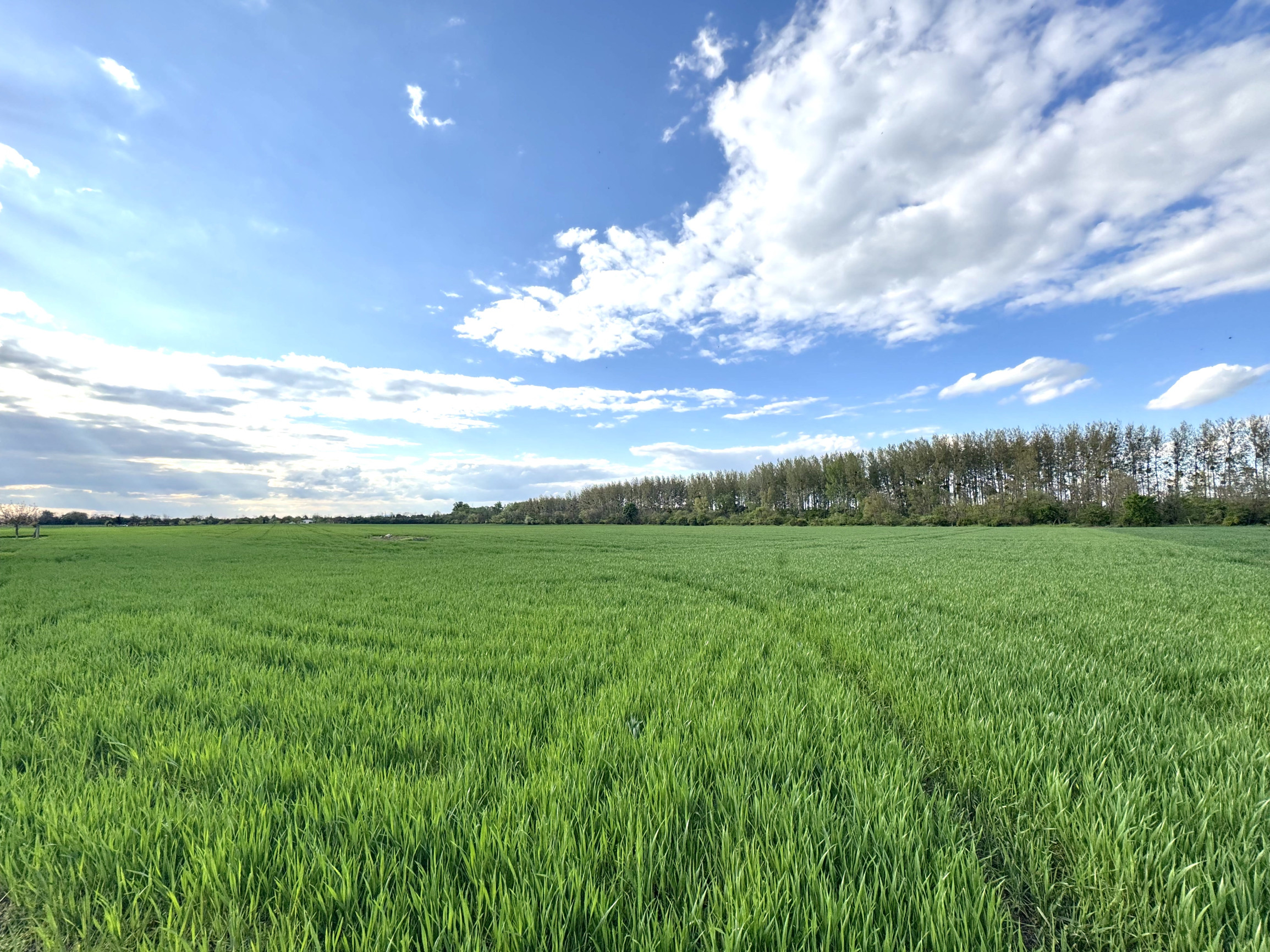 Investičný pozemok v blízkosti Čunovského jazera