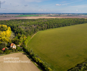Pálffyho poľovnícke panstvo s vlastným lesom a jazerom