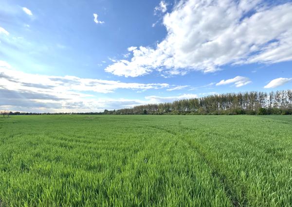 Investičný pozemok v blízkosti Čunovského jazera