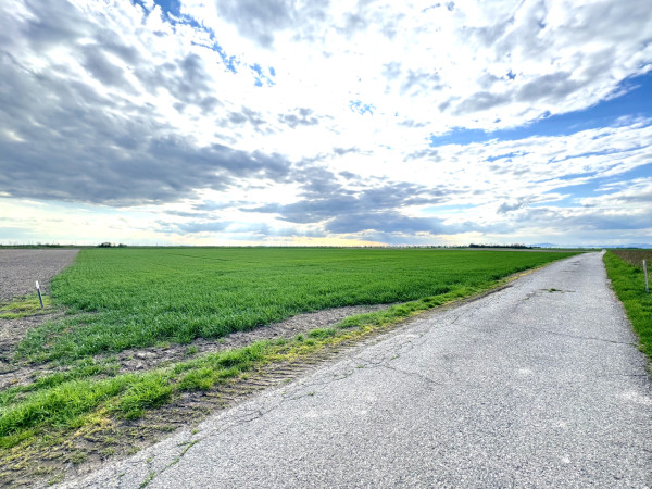 Poľnohospodársky a investičný pozemok